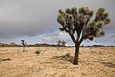 Epic游戏商城春节特卖 满减券后价打“骨折”