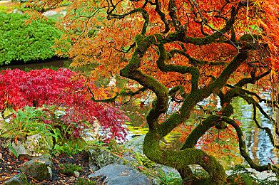 《四海兄弟：故乡》没采用开放世界 是因为三代没达到预期